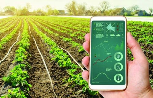Chuyển đổi số trong nông nghiệp đòi hỏi điều gì? Các giải pháp hiệu quả là gì?