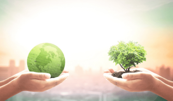 So sánh ĐTM và Kế hoạch bảo vệ môi trường - Giống và khác nhau