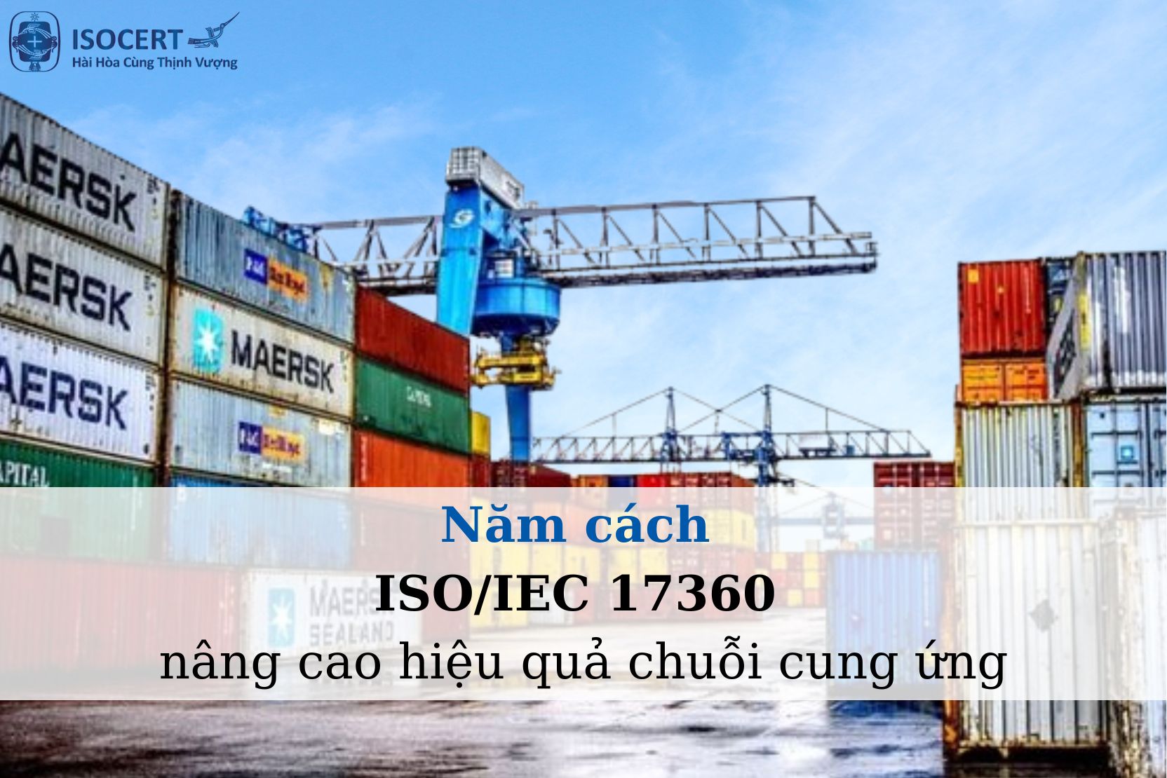 5 cách ISO/IEC 17360 Nâng Cao Hiệu Quả Chuỗi Cung Ứng