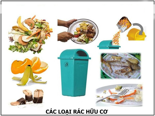 Các loại chất thải hữu cơ phổ biến 