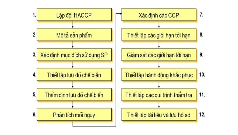12 bước xây dựng hệ thống HACCP qua sơ đồ