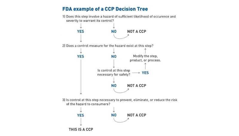 HACCP: CCP là gì? 4 nhóm cây quyết định CCP phổ biến