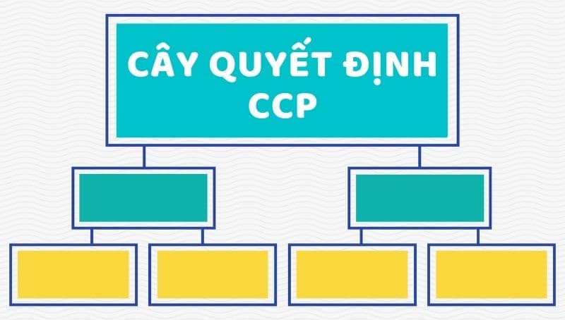 HACCP: CCP là gì? 4 nhóm cây quyết định CCP phổ biến