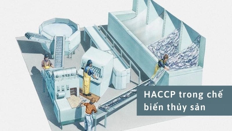 HACCP thủy sản