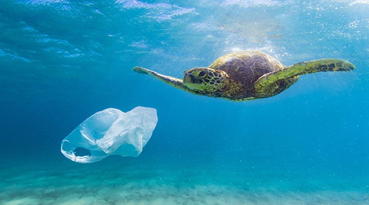 Biện pháp hạn chế rác thải nhựa Việt Nam với Ngăn ngừa Ô nhiễm Chất thải nhựa