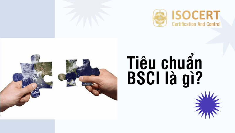 Hình ảnh minh họa tiêu chuẩn BSCI