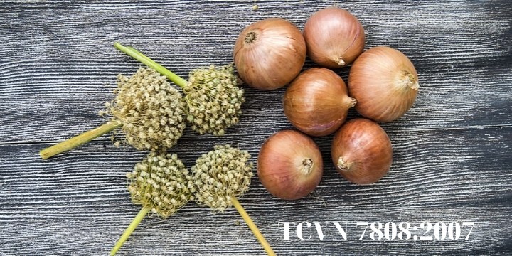 TCVN 7808:2007 - Hành tây khô (Allium cepa Linnaeus) - Đặc điểm kỹ thuật