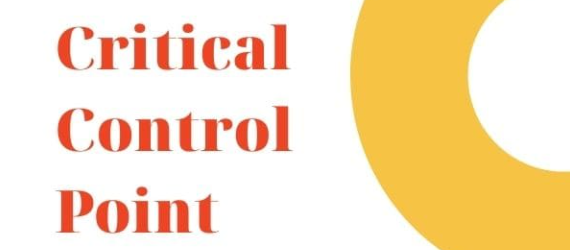 HACCP: CCP là gì? 4 câu hỏi xác định CCP | 4 nhóm cây quyết định CCP phổ biến hiện nay