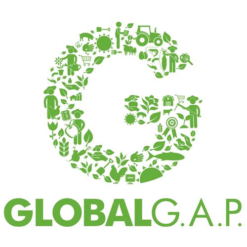 Global G.A.P Tấm Vé Để Nhà Sản Xuất Vươn Ra Thị Trường Quốc Tế