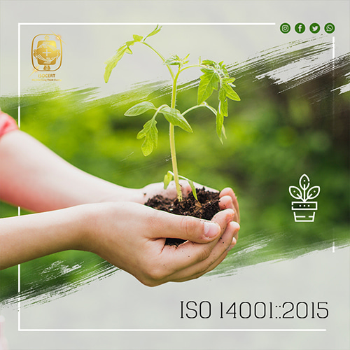 Thực hiện áp dụng hệ thống Quản lý Môi trường ISO 14001