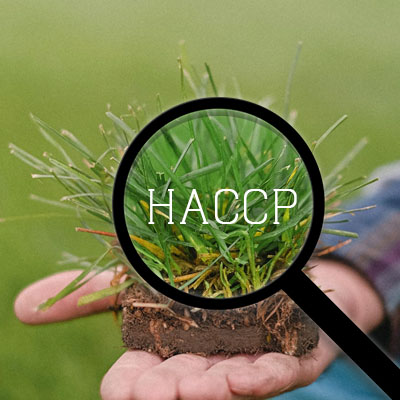 Phân tích mối nguy và điểm kiểm soát tới hạn (HACCP)