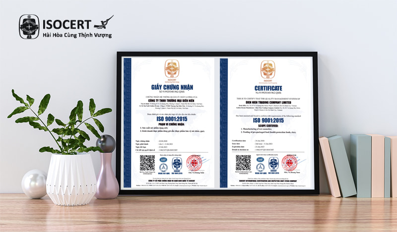 Giấy chứng nhận ISO 9001 - Mẫu giấy chứng nhận ISO 9001 QMS Diên Niên