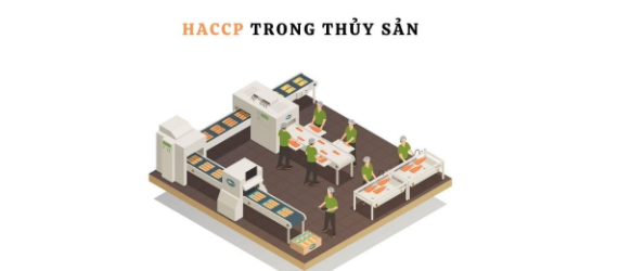 Xây dựng và áp dụng hệ thống HACCP thủy sản