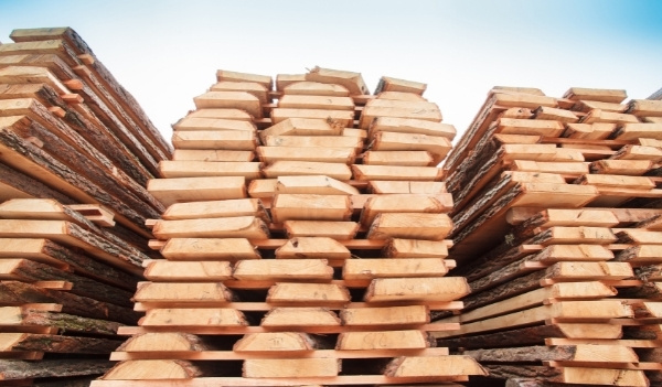 ISO 16598: 2015 Kết cấu gỗ - Phân loại kết cấu gỗ xẻ