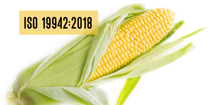 ISO 19942:2018 về Ngô (Zea mays L.) - Đặc điểm kỹ thuật