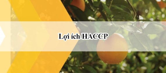 Lợi ích của HACCP trong sản xuất, kinh doanh thực phẩm