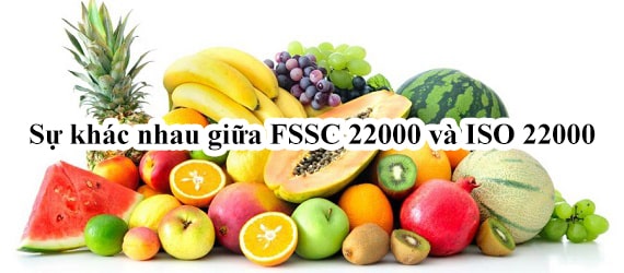 Sự khác nhau giữa FSSC 22000 và ISO 22000