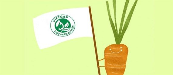 Tiêu chuẩn VietGAP là gì? Tìm hiểu về tiêu chuẩn VietGAP
