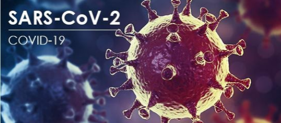 Thực tế về chủng biến thể virus gây đại dịch COVID-19 mới: SARS-CoV-2