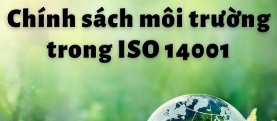 Chính sách môi trường trong ISO 14001 - Nội dung và cách soạn thảo