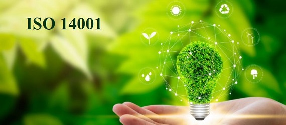 Tiêu chuẩn ISO 14001:2015 - Điều khoản 10: Cải tiến