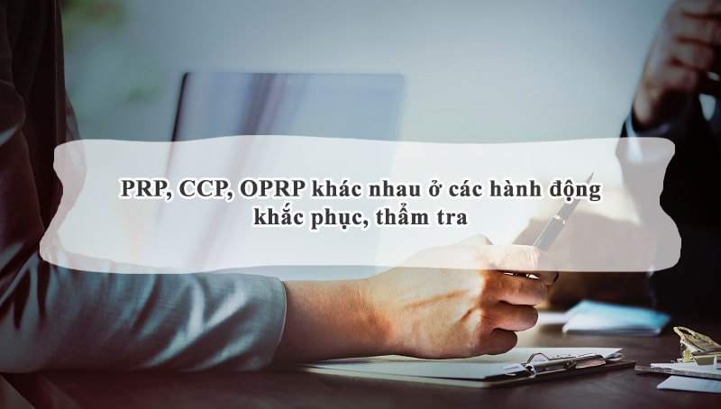 Sự khác nhau giữa PRP, CCP, OPRP qua việc thẩm tra