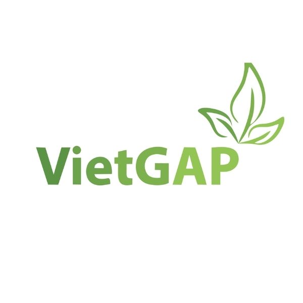 Những lợi ích khi áp dụng VietGAP không nên bỏ qua