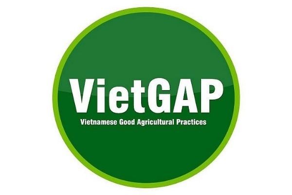 Quy trình VietGAP cho cây lúa