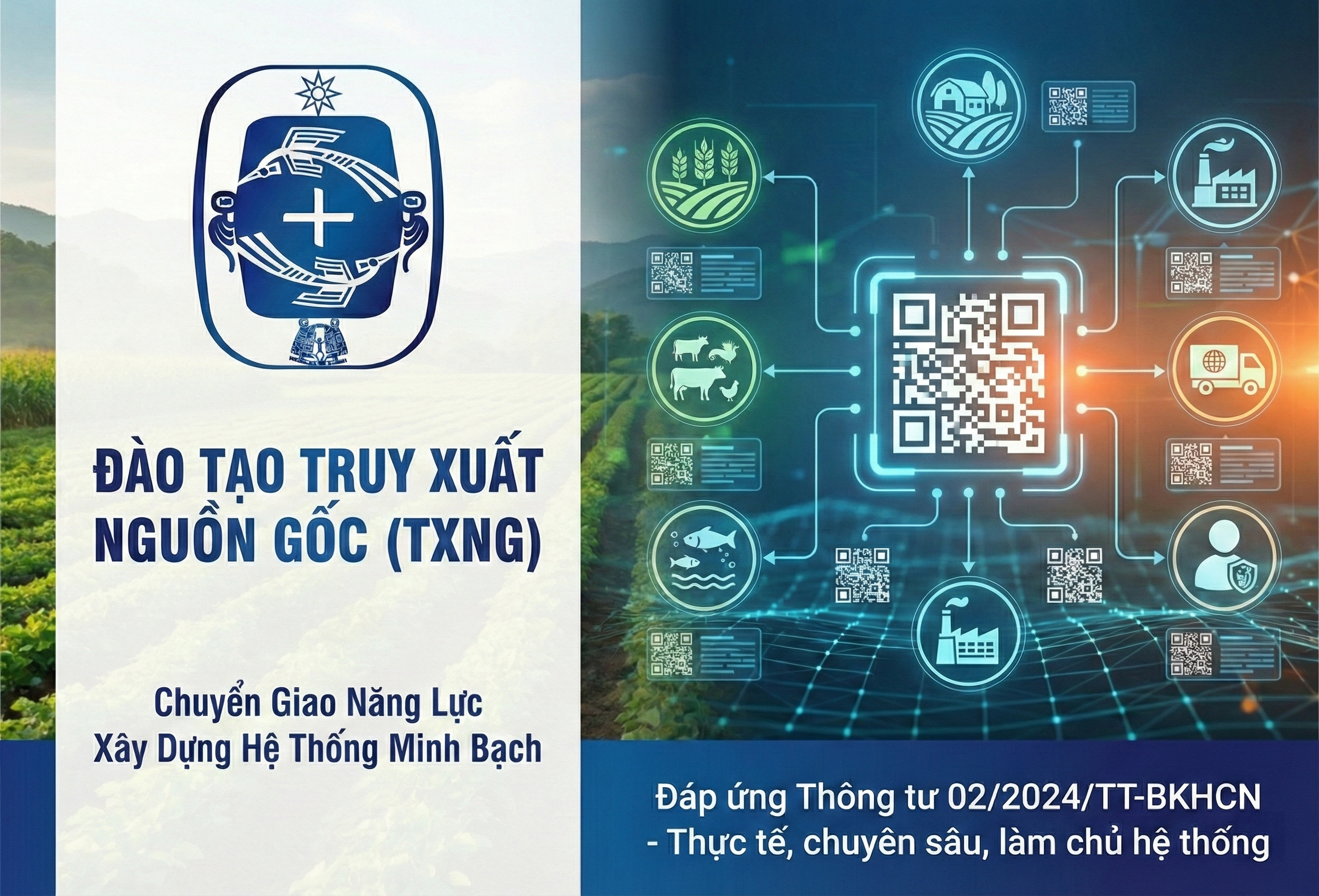 Đào tạo hệ thống TXNG nông sản